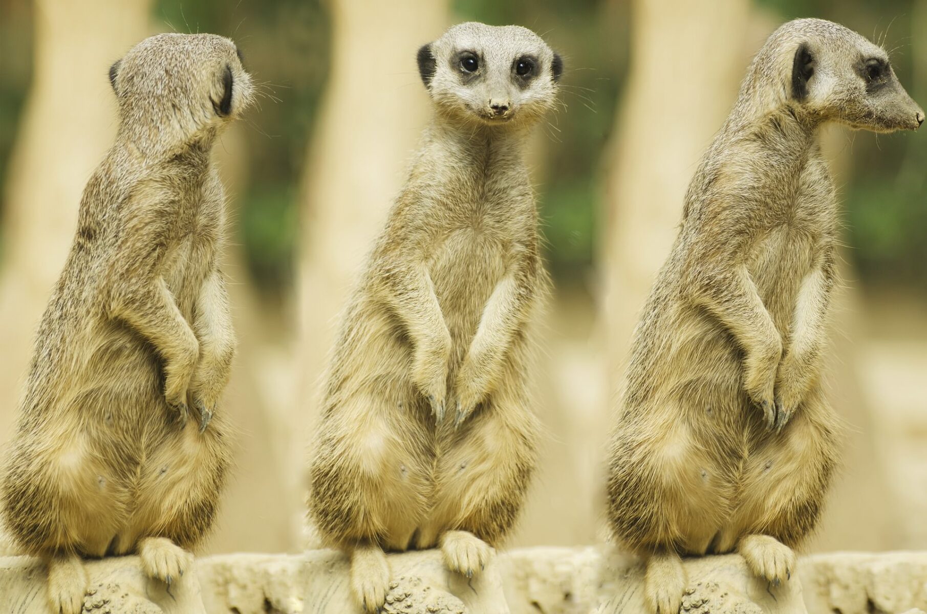 ボクサー型リハビリパンツが対象となる方は、脚回りの隙間から漏れている方